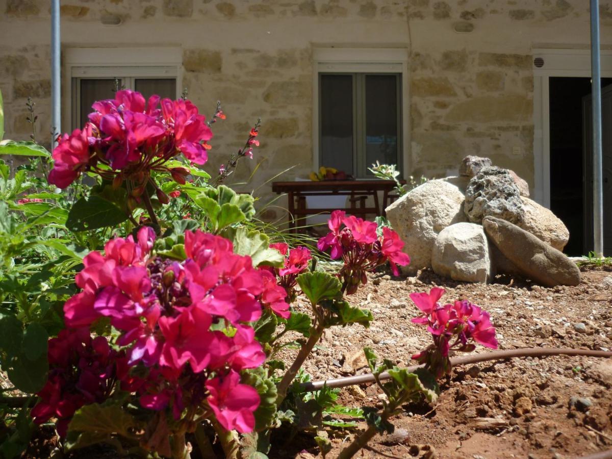 Zeus Traditional House Mitropolis  Εξωτερικό φωτογραφία